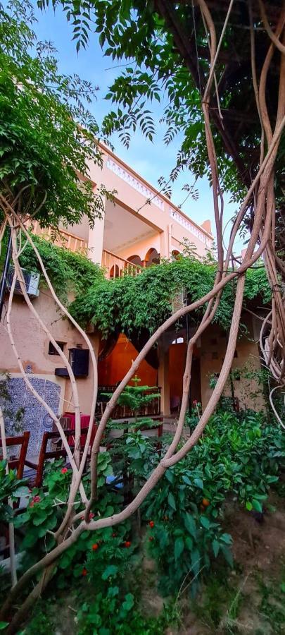 Oasis De Tiout Apartment Luaran gambar